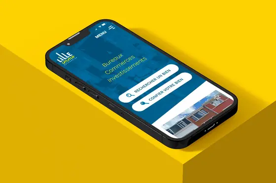 Site internet Lille Immo Entreprise